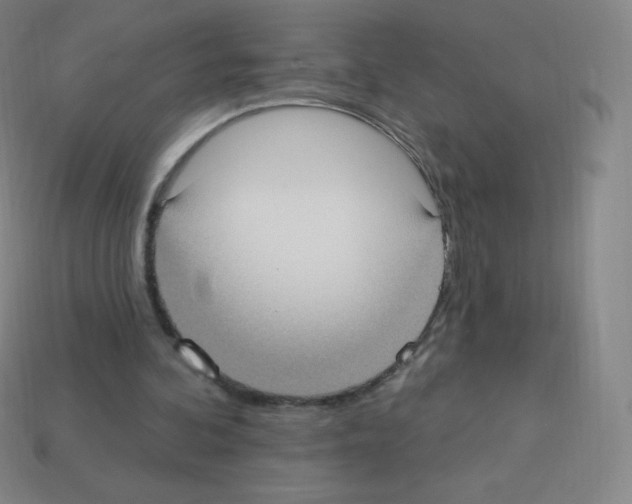 X0000113100292200910091145