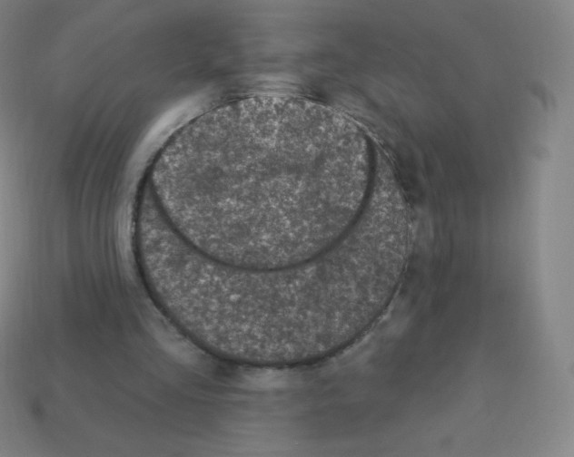 X0000113100293200910091145