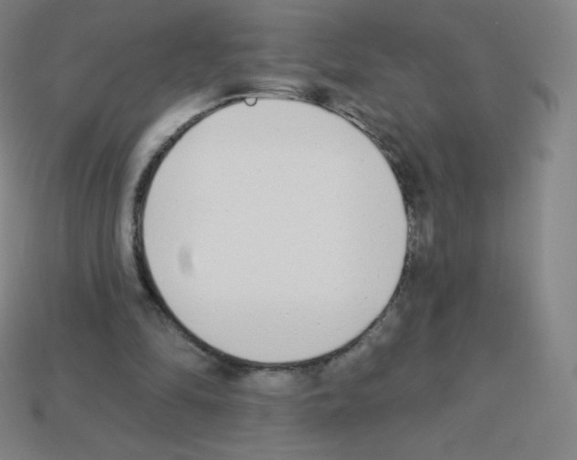 X0000113100294200910091145