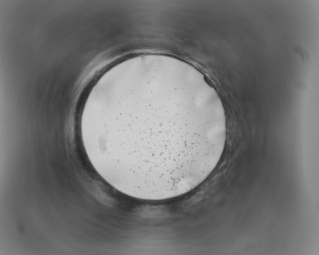 X0000113100296200910091145