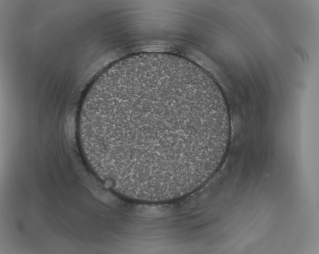 X0000113100297200910091145