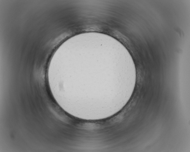 X0000113100298200910091145