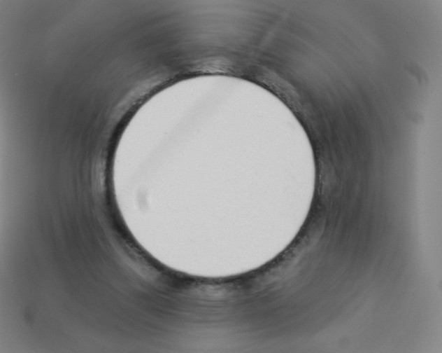 X0000113100299200910091145