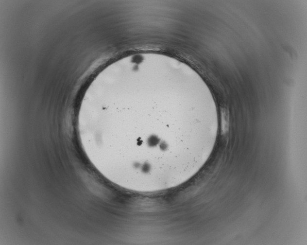 X0000113100300200910091145
