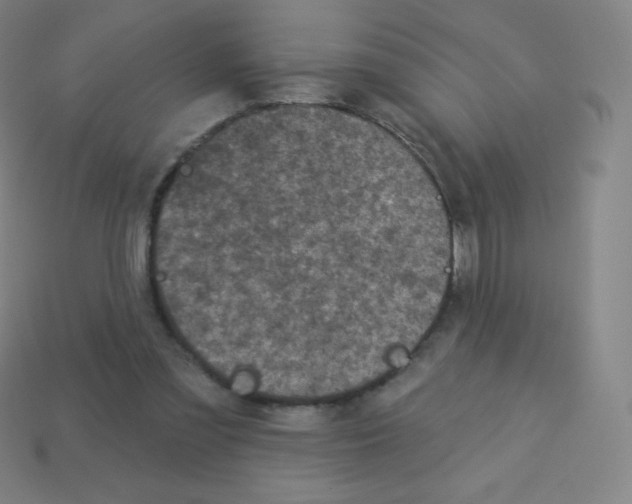 X0000113100301200910091145