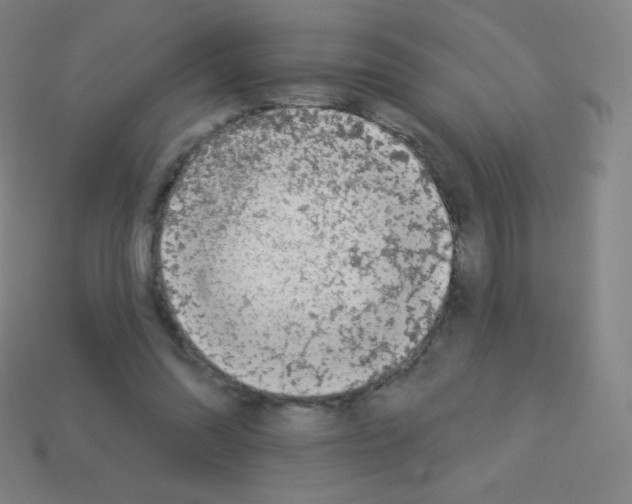 X0000113100302200910091145