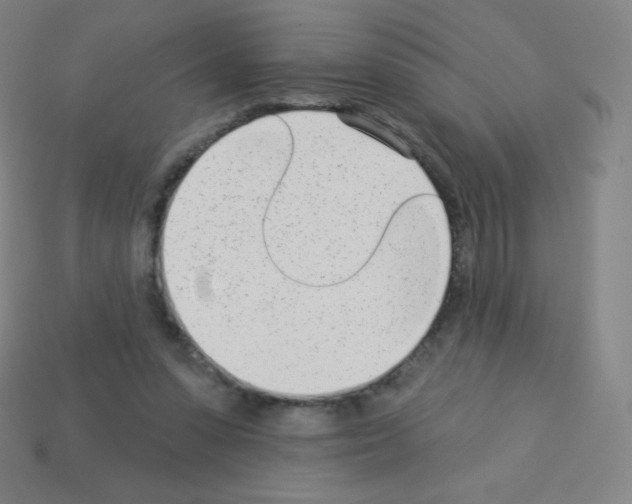 X0000113100303200910091145