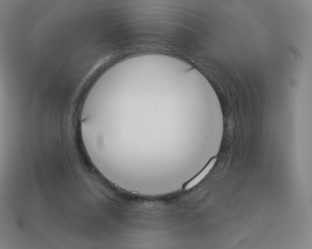 X0000113100304200910091145