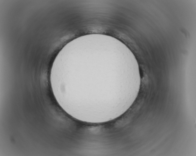 X0000113100306200910091144