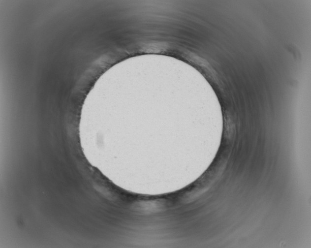 X0000113100307200910091144