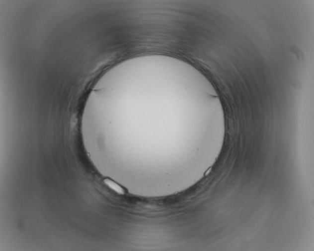 X0000113100308200910091144