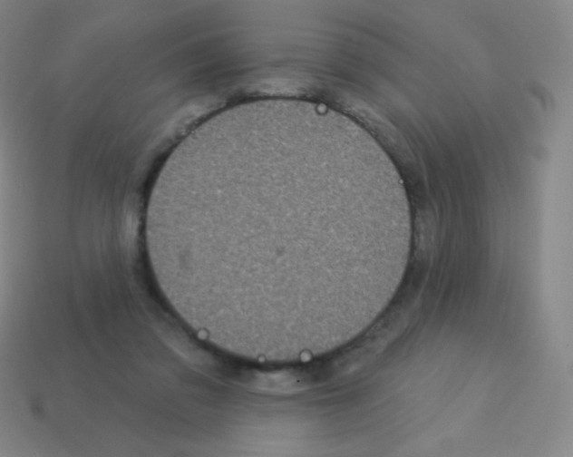 X0000113100309200910091144