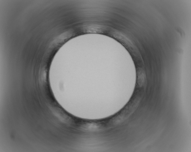 X0000113100310200910091144