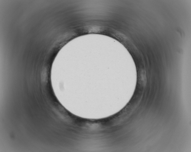 X0000113100311200910091144