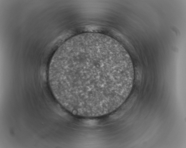 X0000113100313200910091144