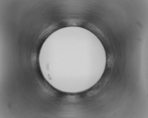 X0000113100314200910091144
