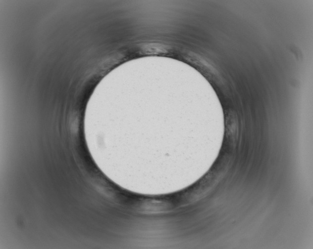 X0000113100315200910091144
