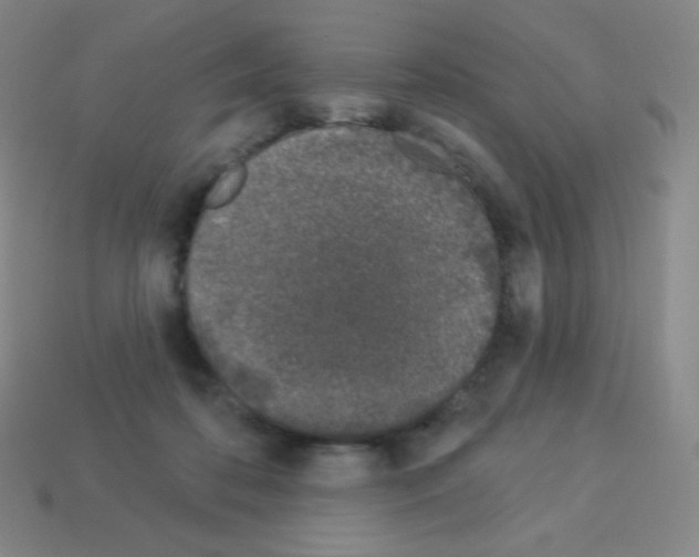 X0000113100316200910091144