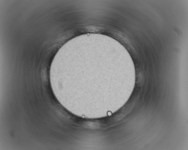 X0000113100317200910091144