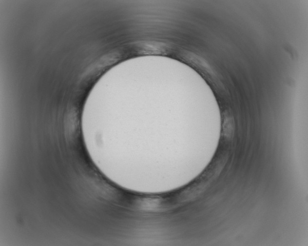 X0000113100318200910091144