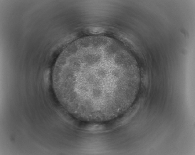 X0000113100319200910091144