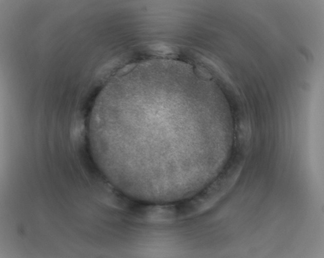 X0000113100320200910091144