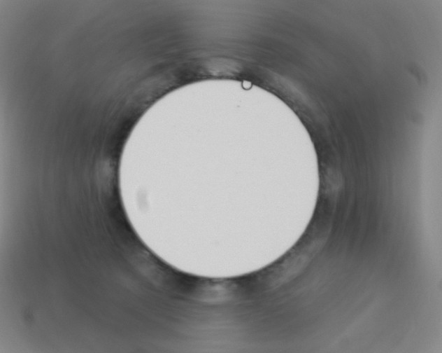 X0000113100321200910091144