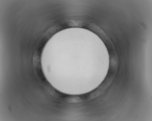 X0000113100322200910091144