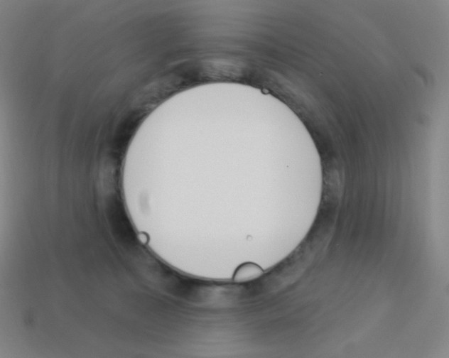 X0000113100323200910091144
