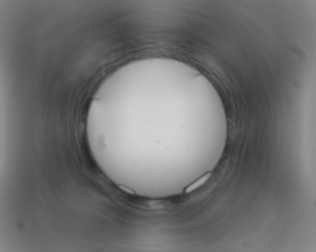 X0000113100324200910091144