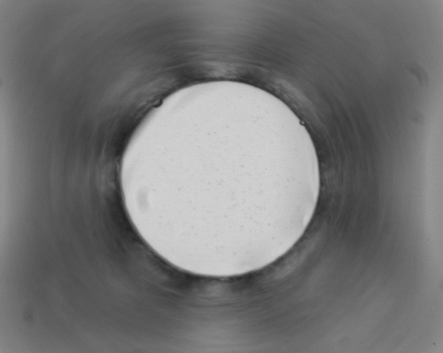 X0000113100325200910091144