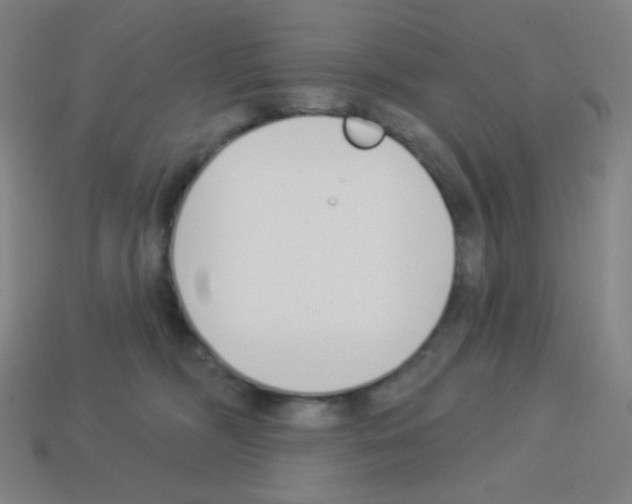X0000113100326200910091144