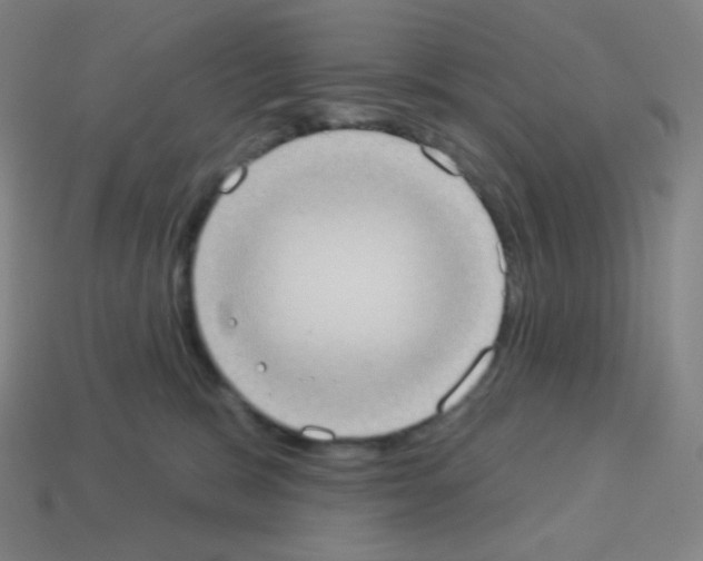 X0000113100327200910091144