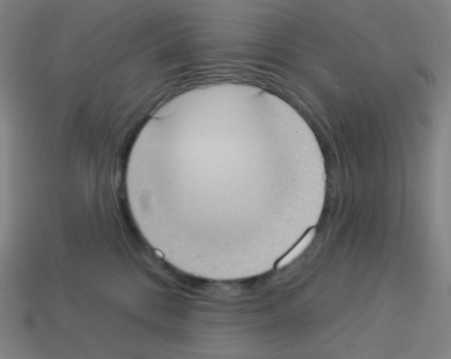 X0000113100328200910091144