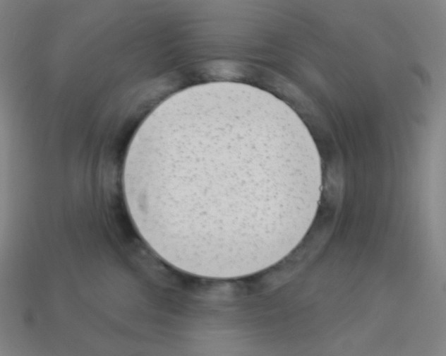X0000113100330200910091144
