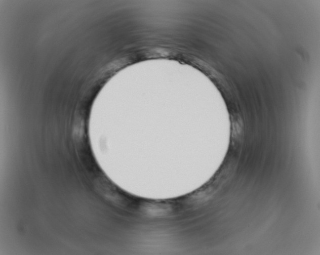 X0000113100331200910091144