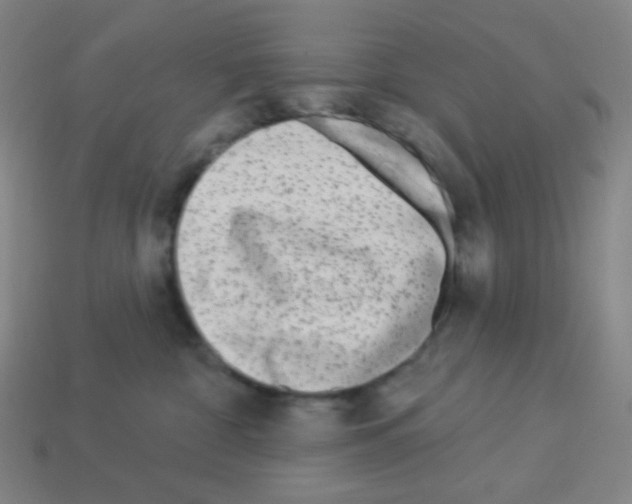 X0000113100332200910091144