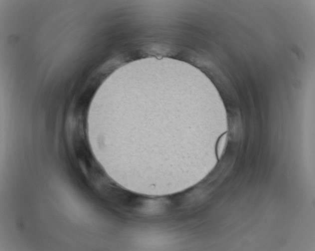 X0000113100334200910091144