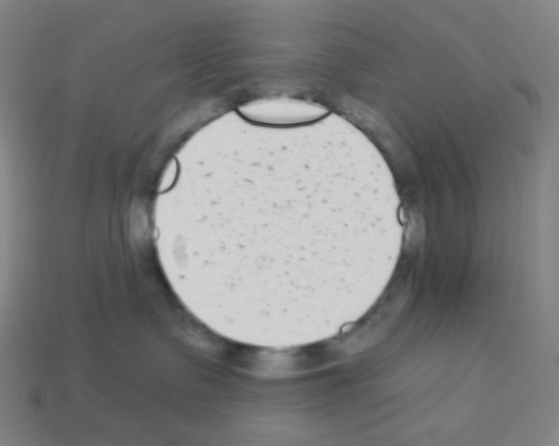 X0000113100335200910091144