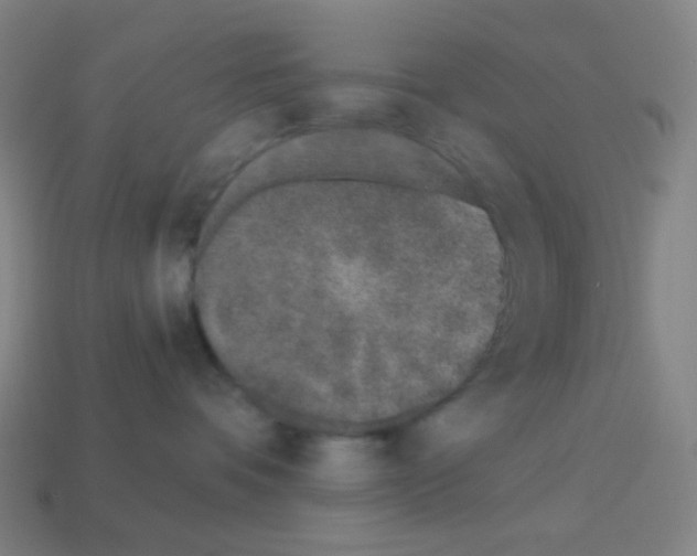 X0000113100336200910091144