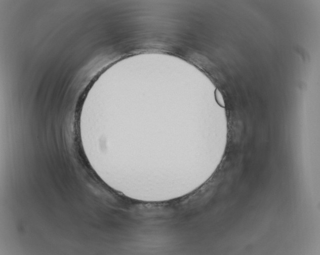 X0000113100338200910091144
