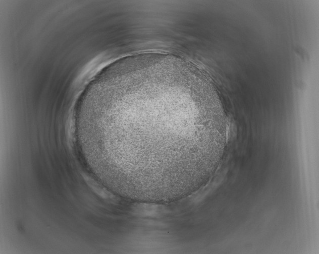 X0000113100339200910091144