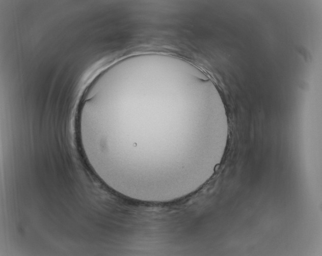 X0000113100340200910091144