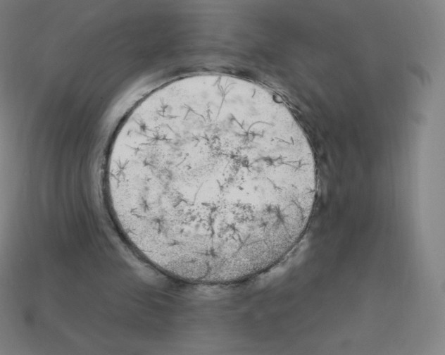 X0000113100341200910091144
