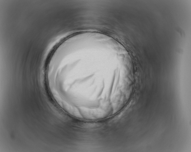 X0000113100342200910091144