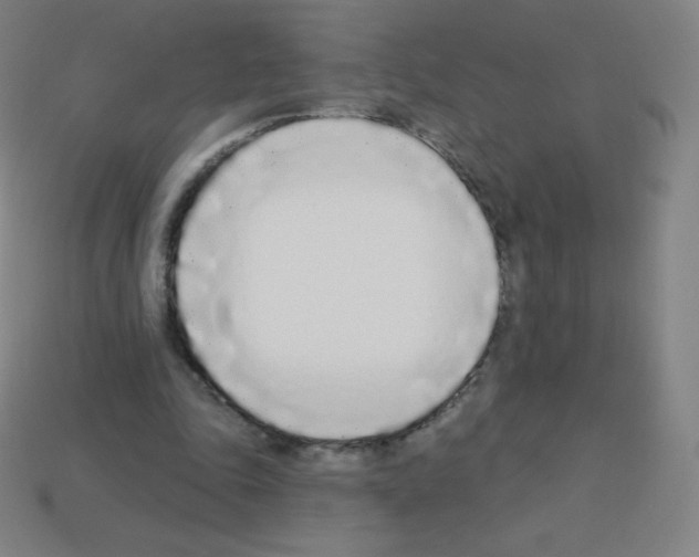 X0000113100343200910091144