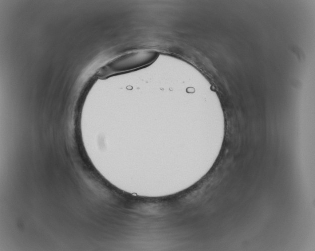 X0000113100344200910091144