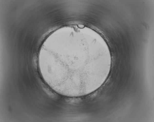 X0000113100345200910091144