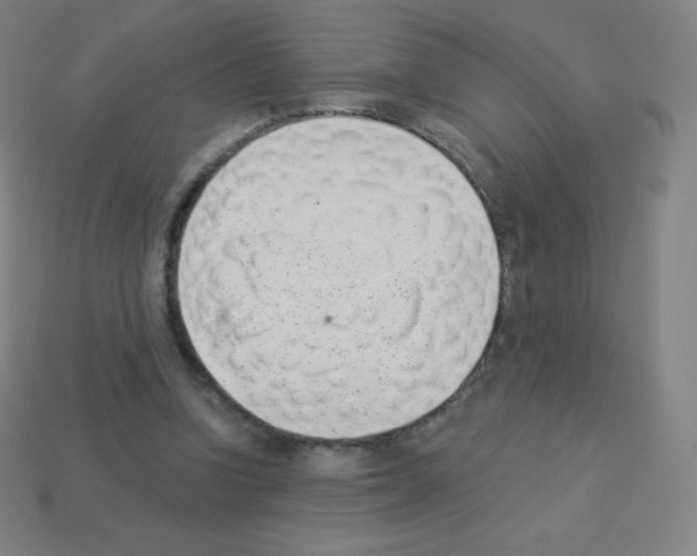 X0000113100346200910091144