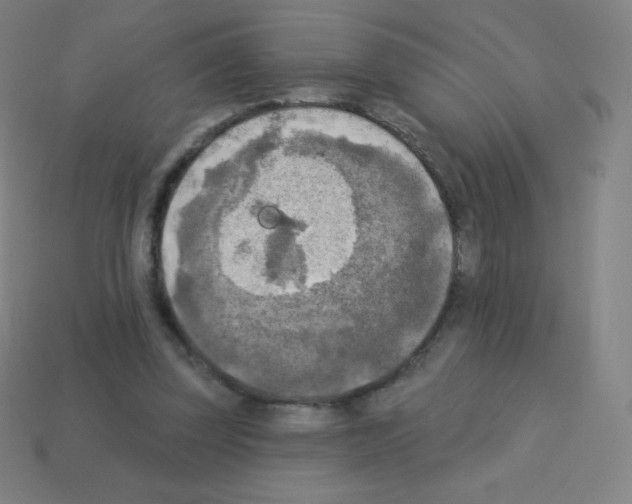 X0000113100347200910091144